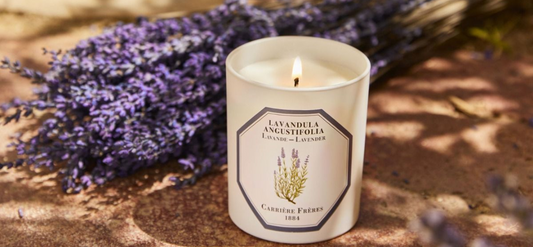 Revive Your Home: The Best Fresh Scents for a September Reset