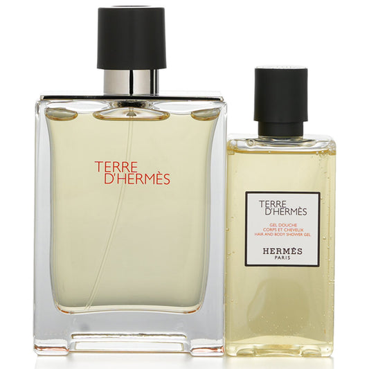 Hermès Terre d'Hermès Coffret: Eau de Toilette 100mL + Hair and Body Shower Gel 80mL