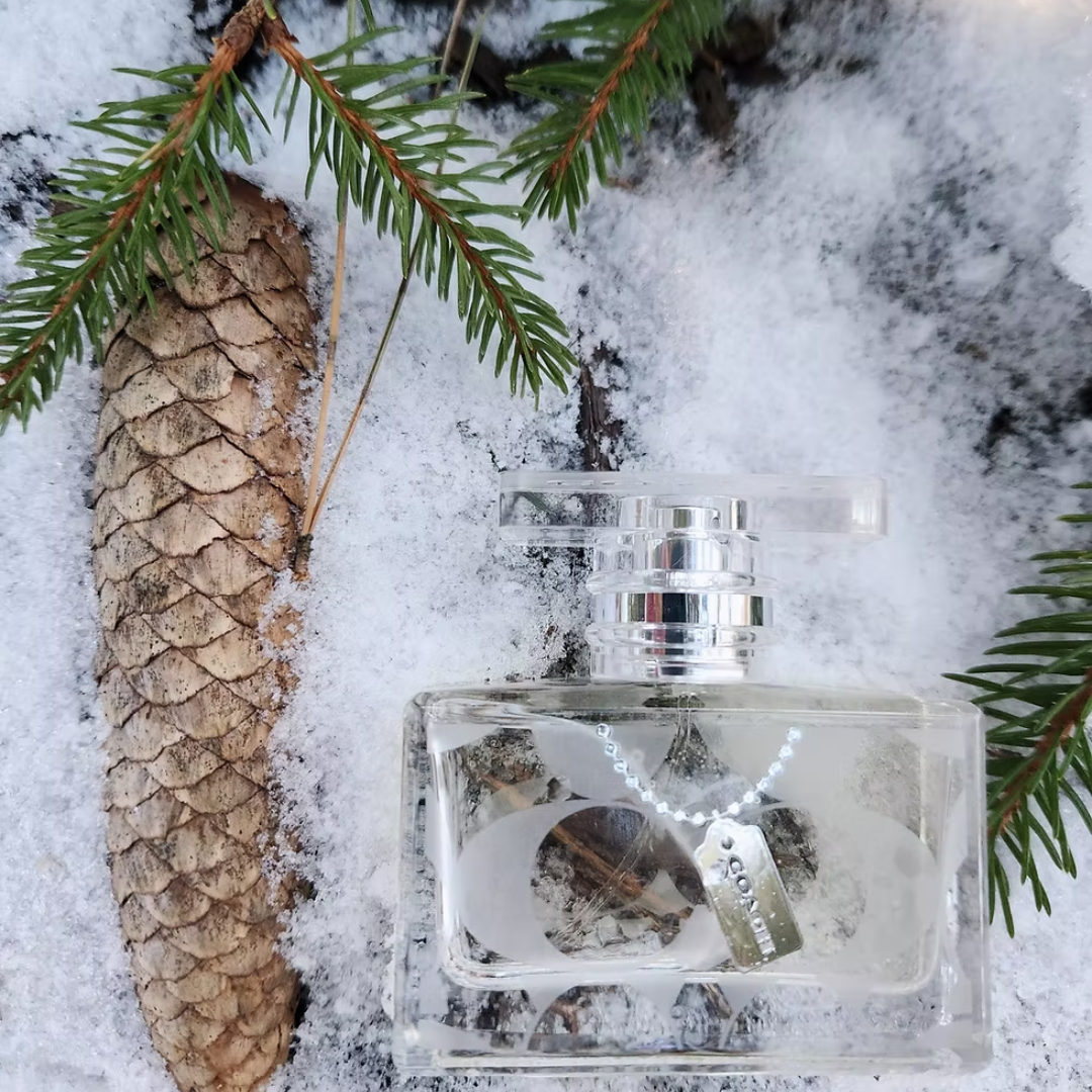 Coach Signature Eau de Parfum 100mL