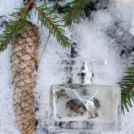 Coach Signature Eau de Parfum 100mL