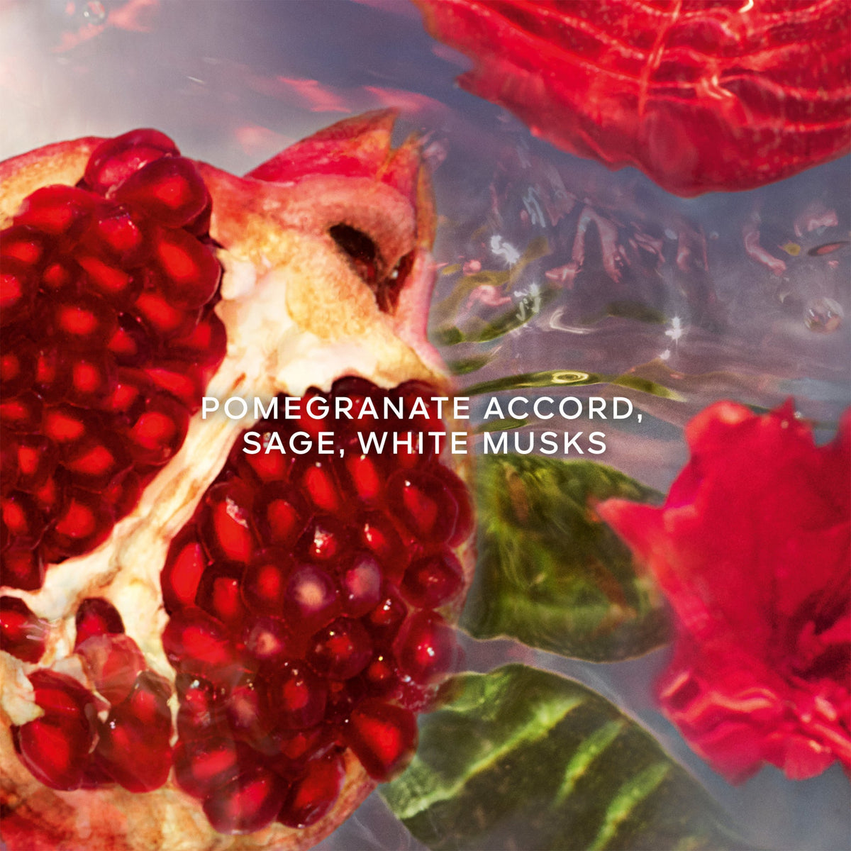 Guerlain Aqua Allegoria Granada Salvia Eau de Toilette 75mL