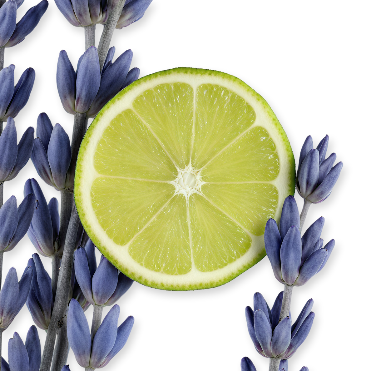 Parfums de Marly Percival Eau de Parfum 125mL fragrance detail
