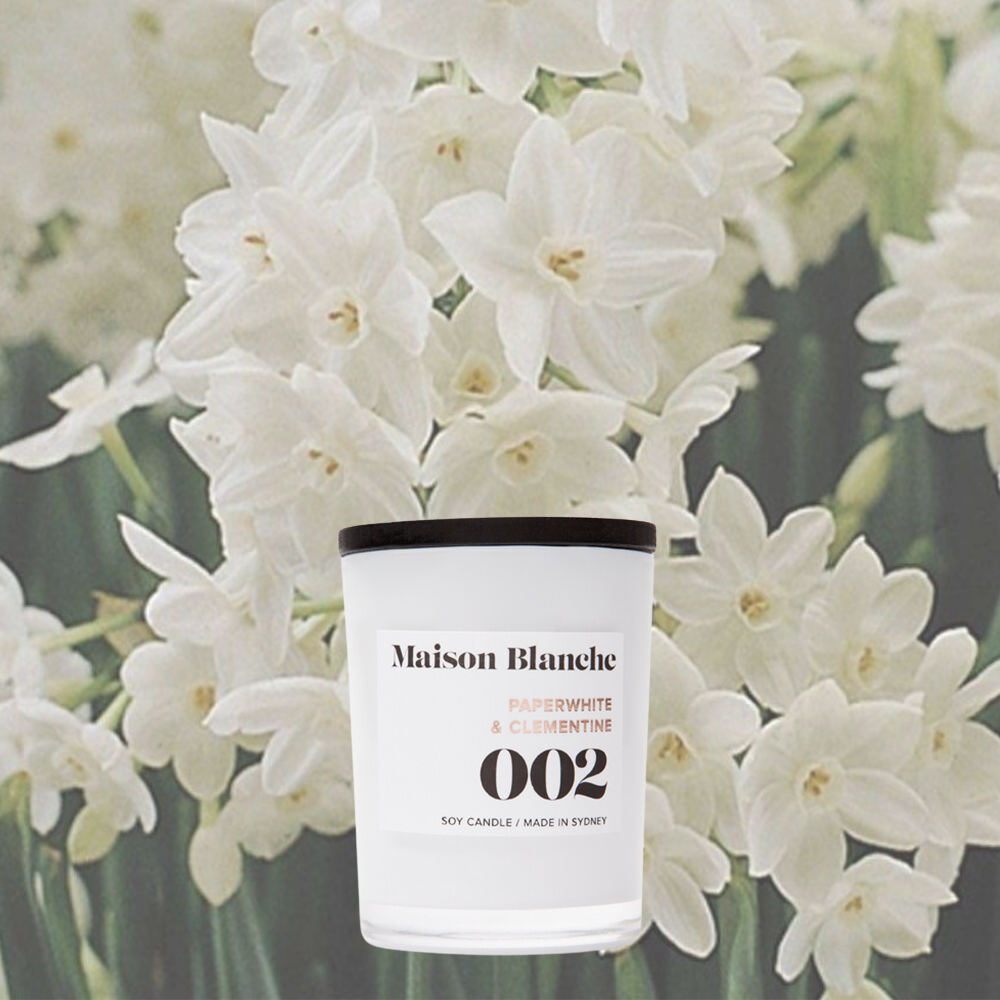 Maison Blanche 002 Paperwhite & Clementine Petite Candle 60g – official Maison Blanche product image 5