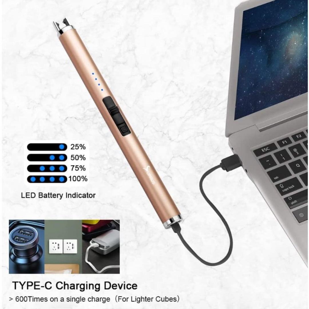 USB-C Rechargeable Electric Lighter with Windproof Plasma Ignition