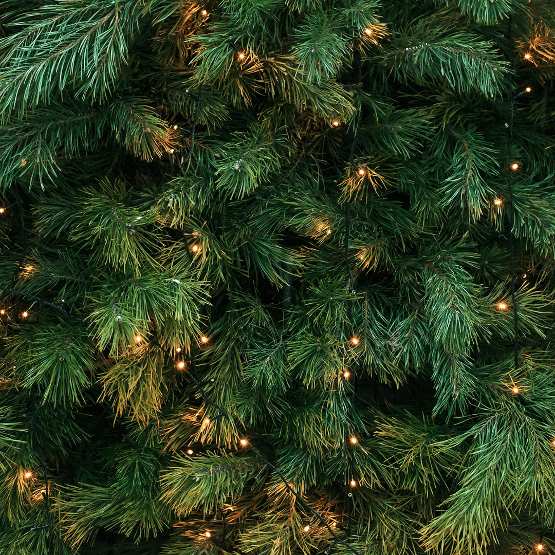 Candle - Buckley & Phillips Aromatics - Buckley & Phillips Aromatics - Christmas Tree Pillar Candle - The Gift Company
