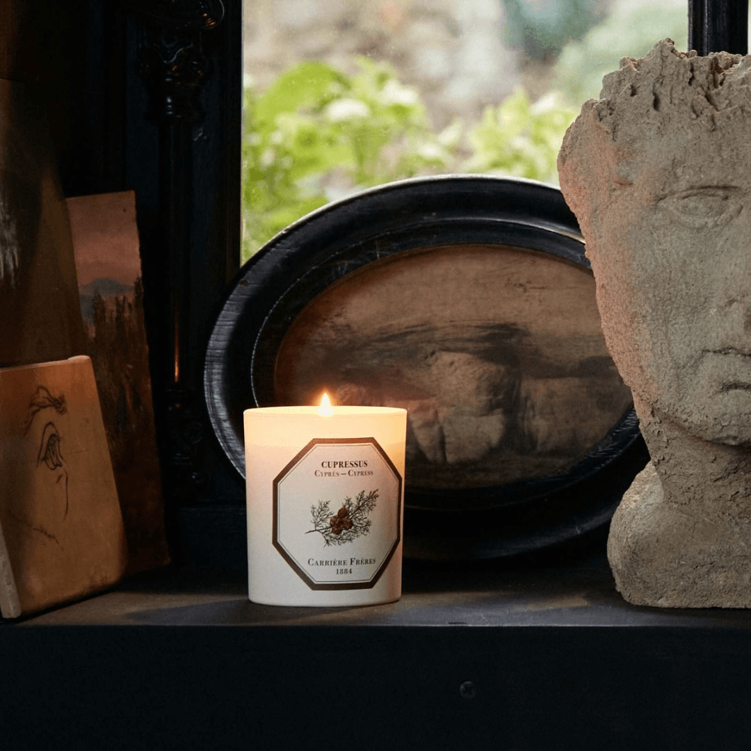 Candle - Carriere Freres - Carrière Frères Cypress Candle 185g - The Gift Company