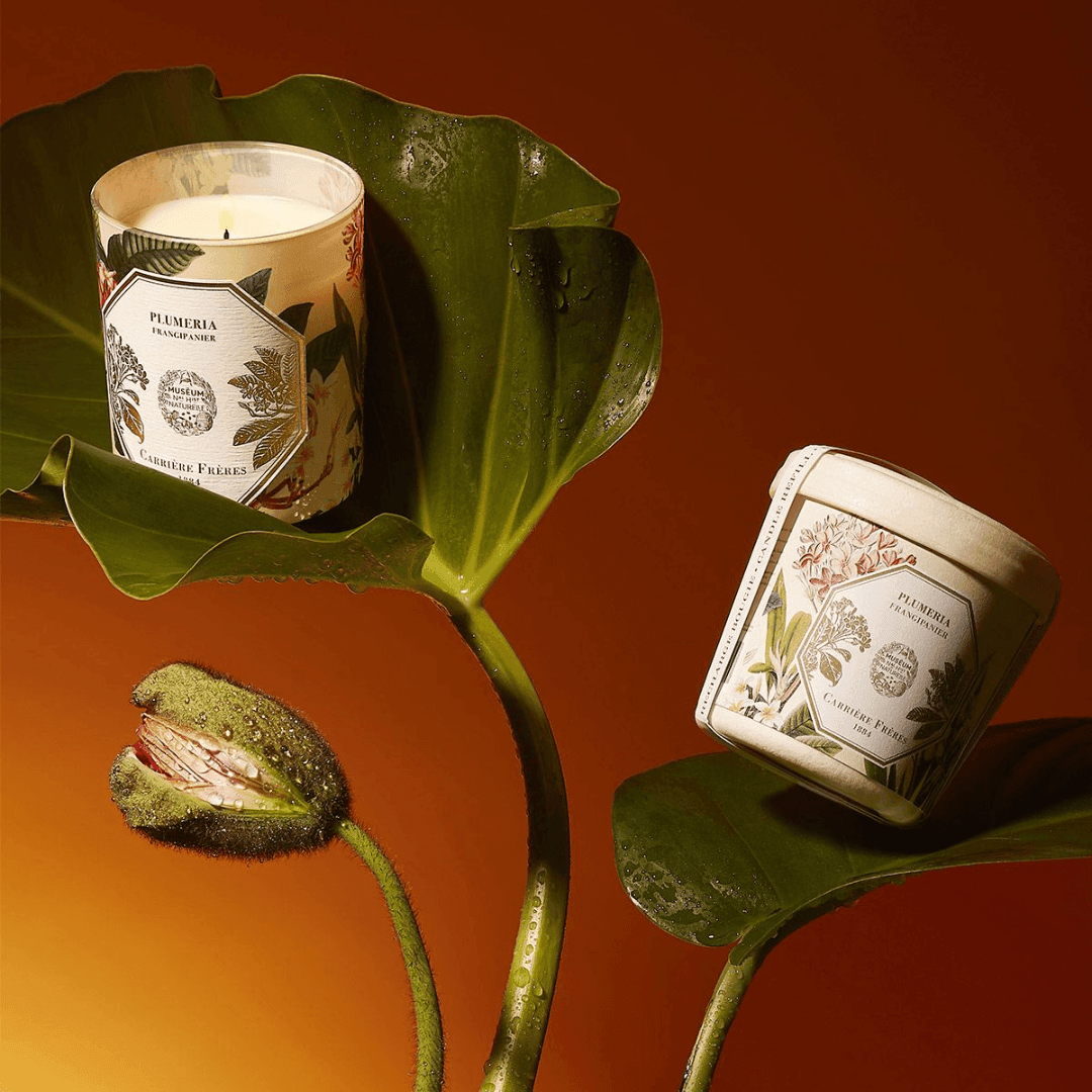 Candle - Carriere Freres - Carrière Frères Frangipani Candle & Refill Bundle - The Gift Company