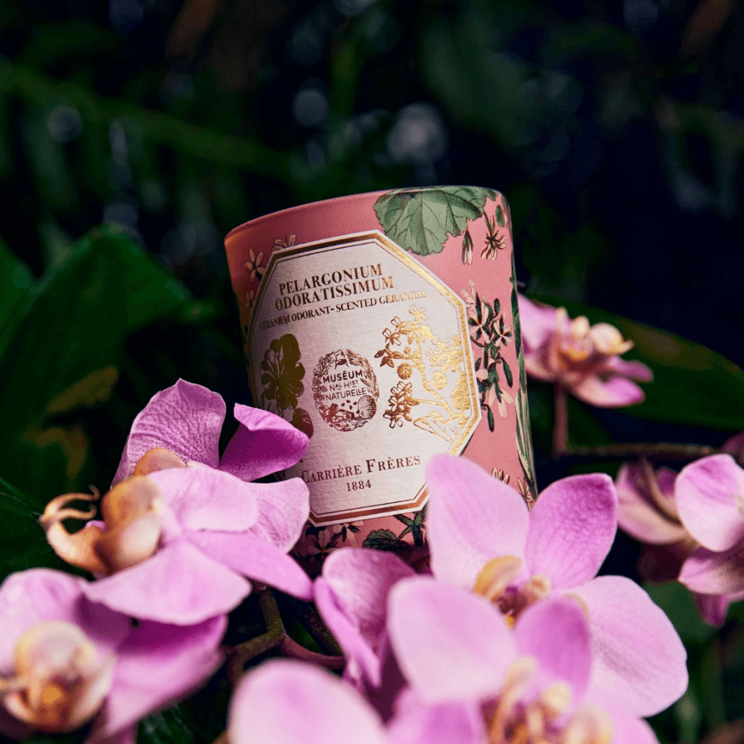 Candle - Carriere Freres - Carrière Frères Geranium Candle 185g - The Gift Company