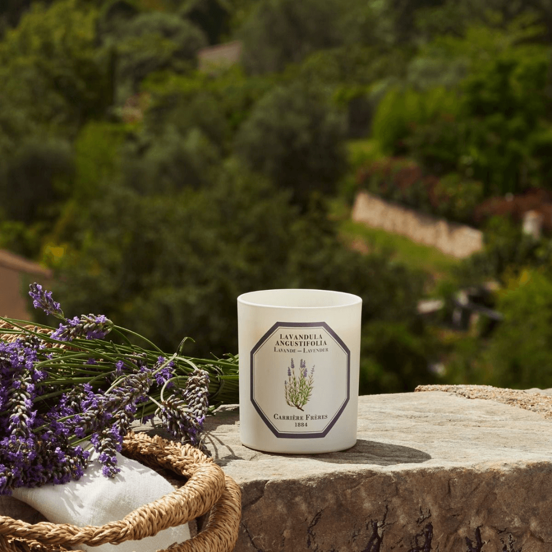 Candle - Carriere Freres - Carrière Frères Lavender Candle 185g - The Gift Company