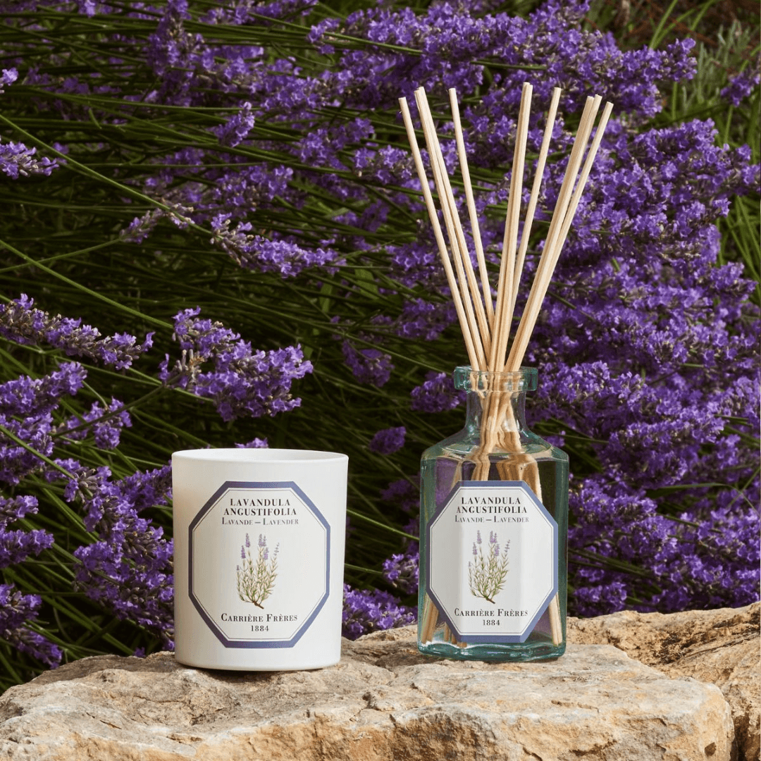 Candle - Carriere Freres - Carrière Frères Lavender Candle 185g - The Gift Company