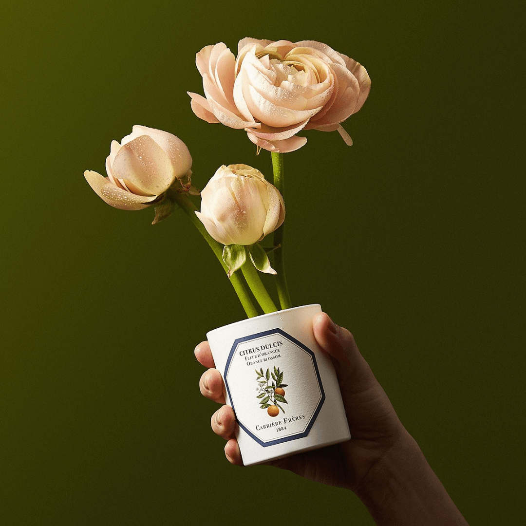 Candle - Carriere Freres - Carrière Frères Orange Blossom Candle 185g - The Gift Company