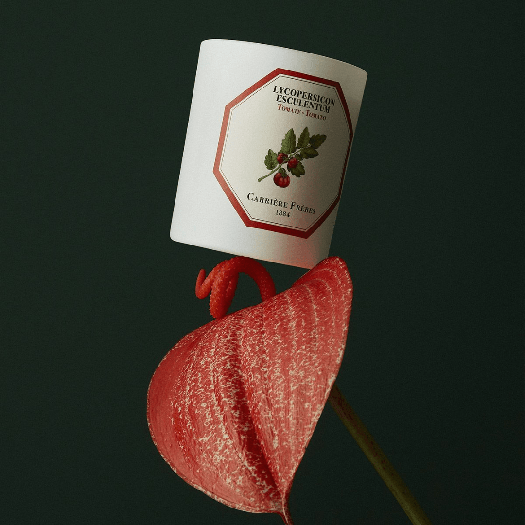 Candle - Carriere Freres - Carrière Frères Tomato Candle 185g - The Gift Company