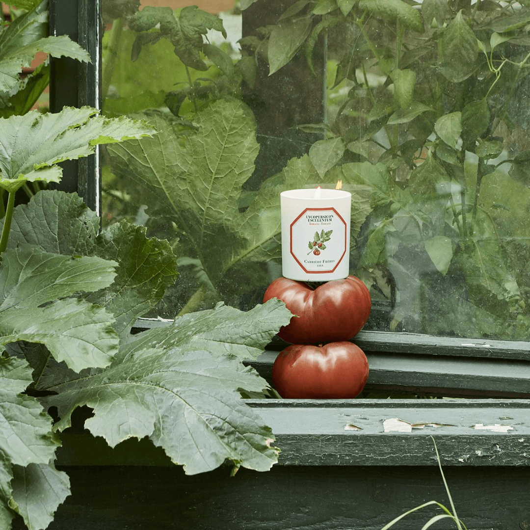 Candle - Carriere Freres - Carrière Frères Tomato Candle 185g - The Gift Company