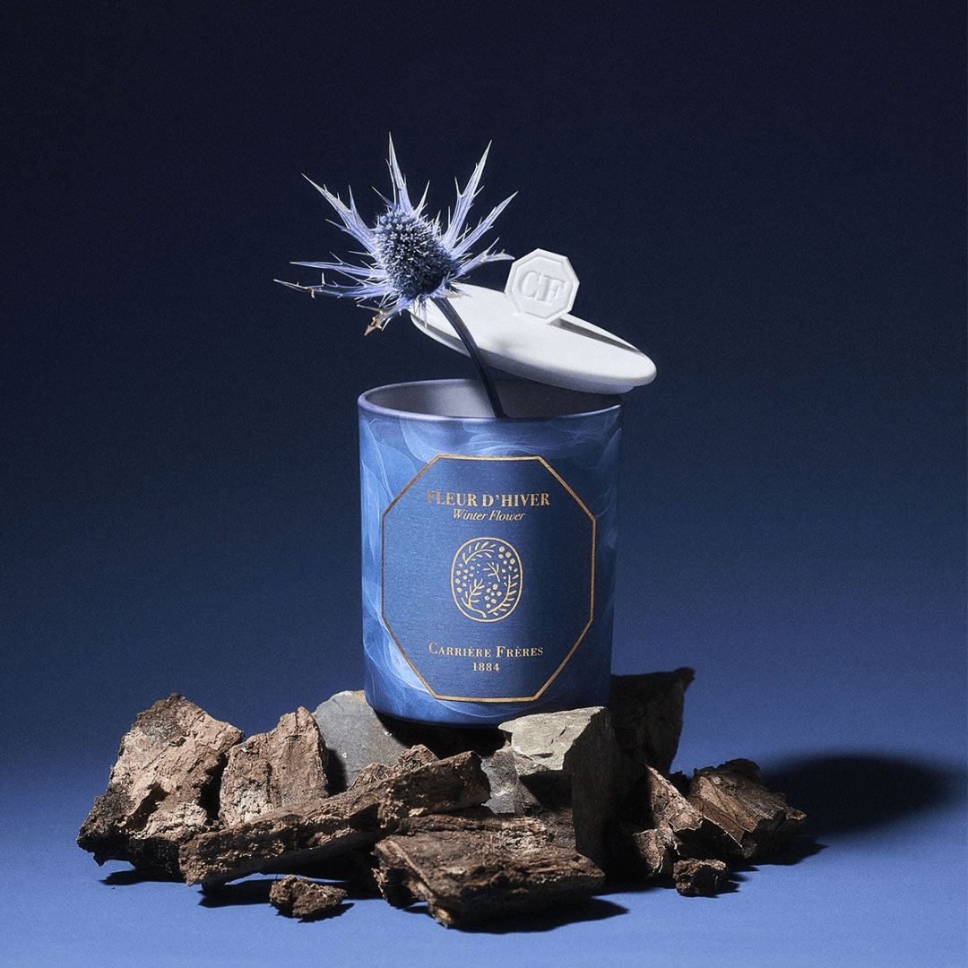Candle - Carriere Freres - Carrière Frères Winter Flower Candle 185g - The Gift Company
