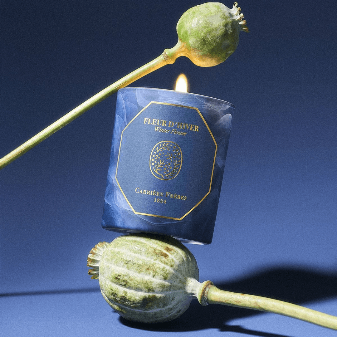Candle - Carriere Freres - Carrière Frères Winter Flower Candle 185g - The Gift Company