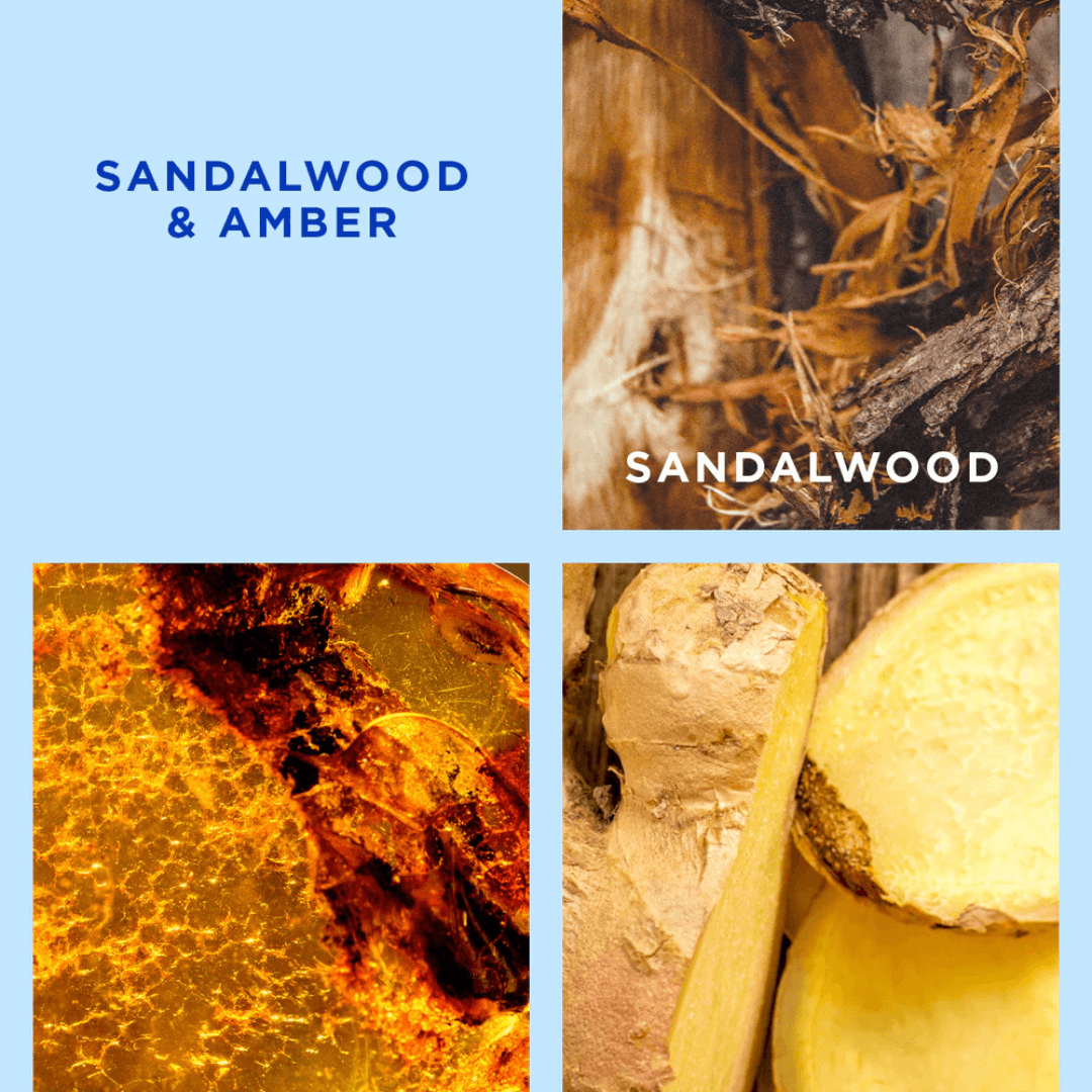 Candle - Ecoya - ECOYA Sandalwood & Amber Madison Candle 400g - The Gift Company