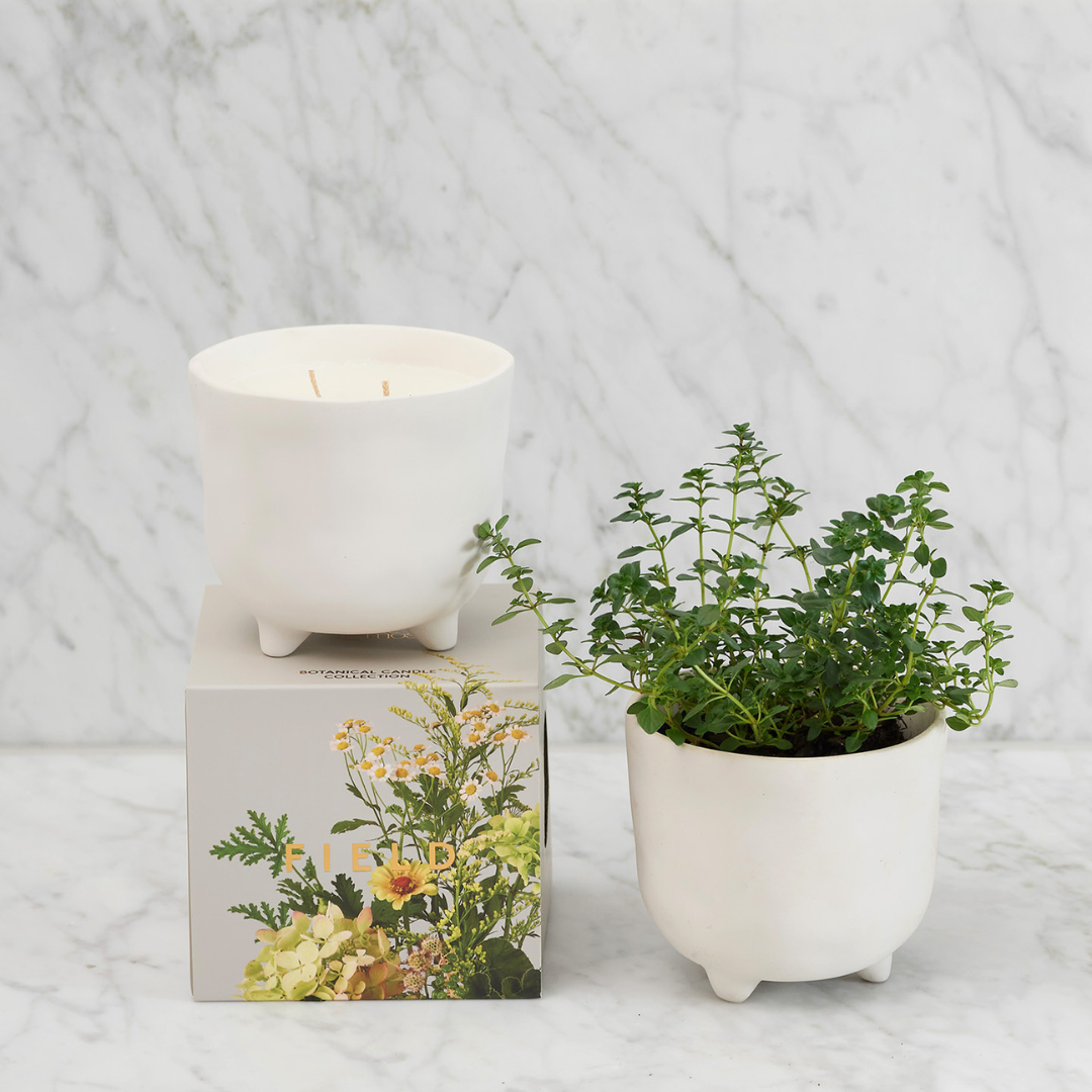 Candle - Myrtle & Moss - Myrtle & Moss Botanical Candle Field 500g - The Gift Company