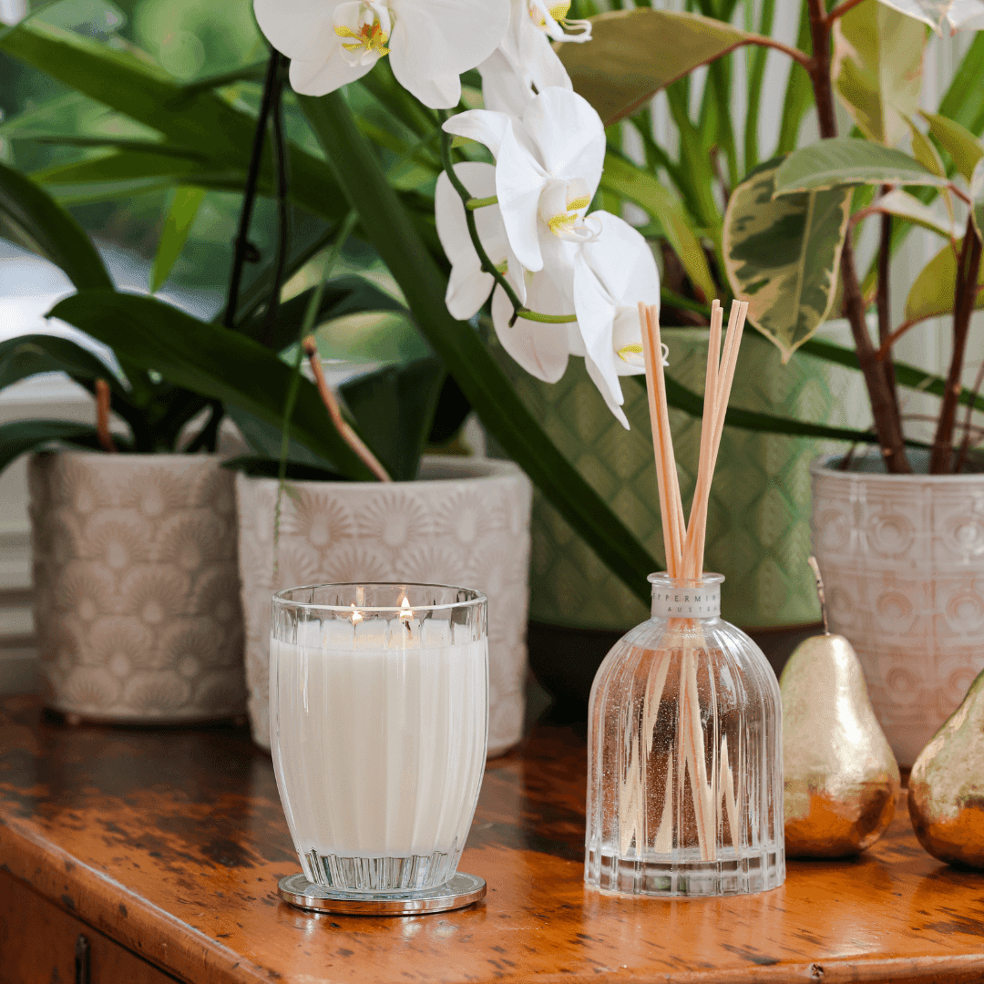Candle - Peppermint Grove - Peppermint Grove Sweet Sorbet & Grapefruit Soy Candle 200g - The Gift Company