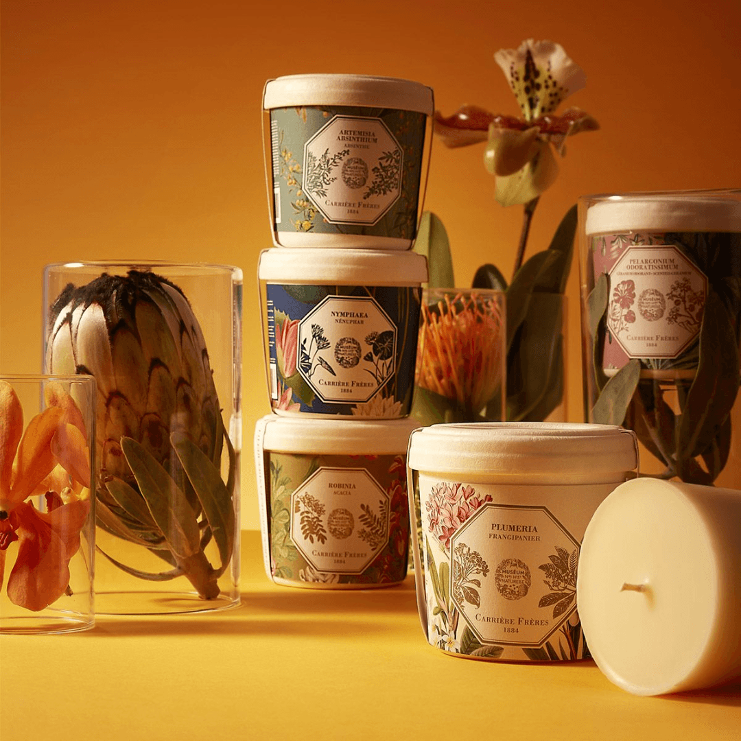 Candle Refill - Carriere Freres - Carrière Frères Refill for Frangipani Candle 185g - The Gift Company