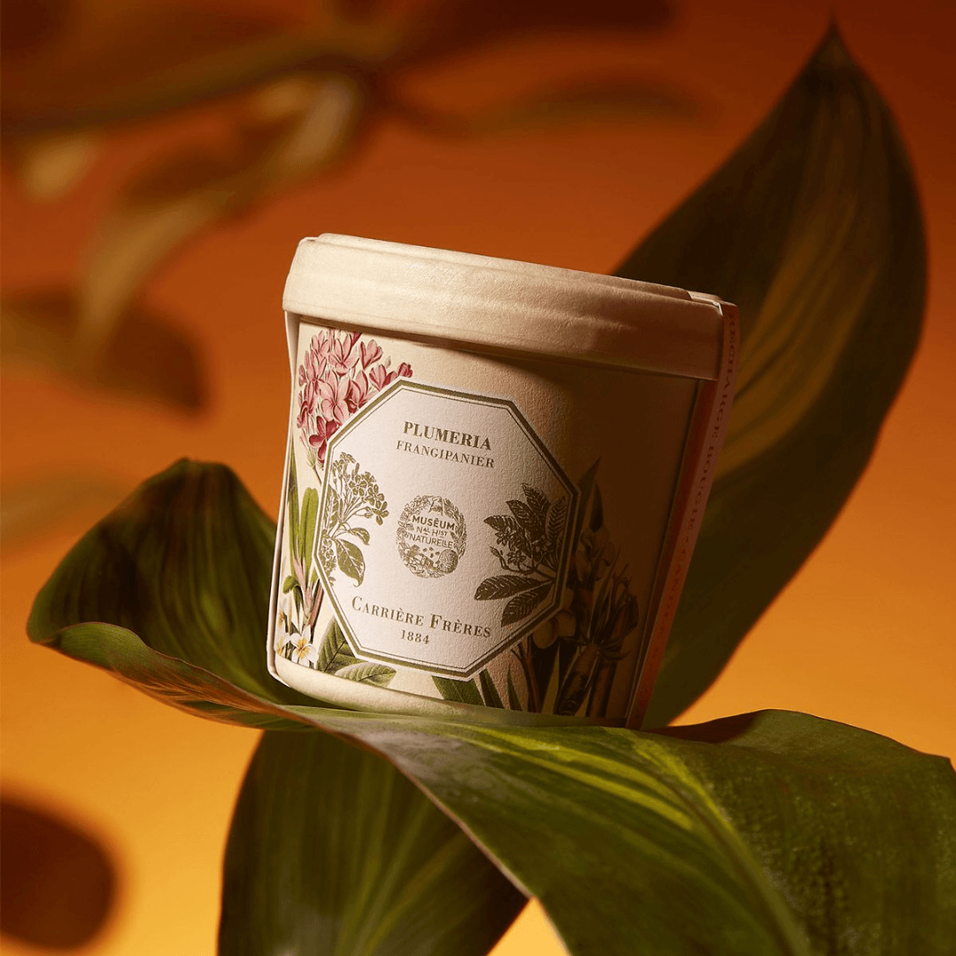 Candle Refill - Carriere Freres - Carrière Frères Refill for Frangipani Candle 185g - The Gift Company