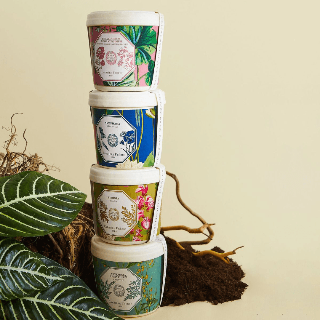 Candle Refill - Carriere Freres - Carrière Frères Refill for Geranium Candle 185g - The Gift Company
