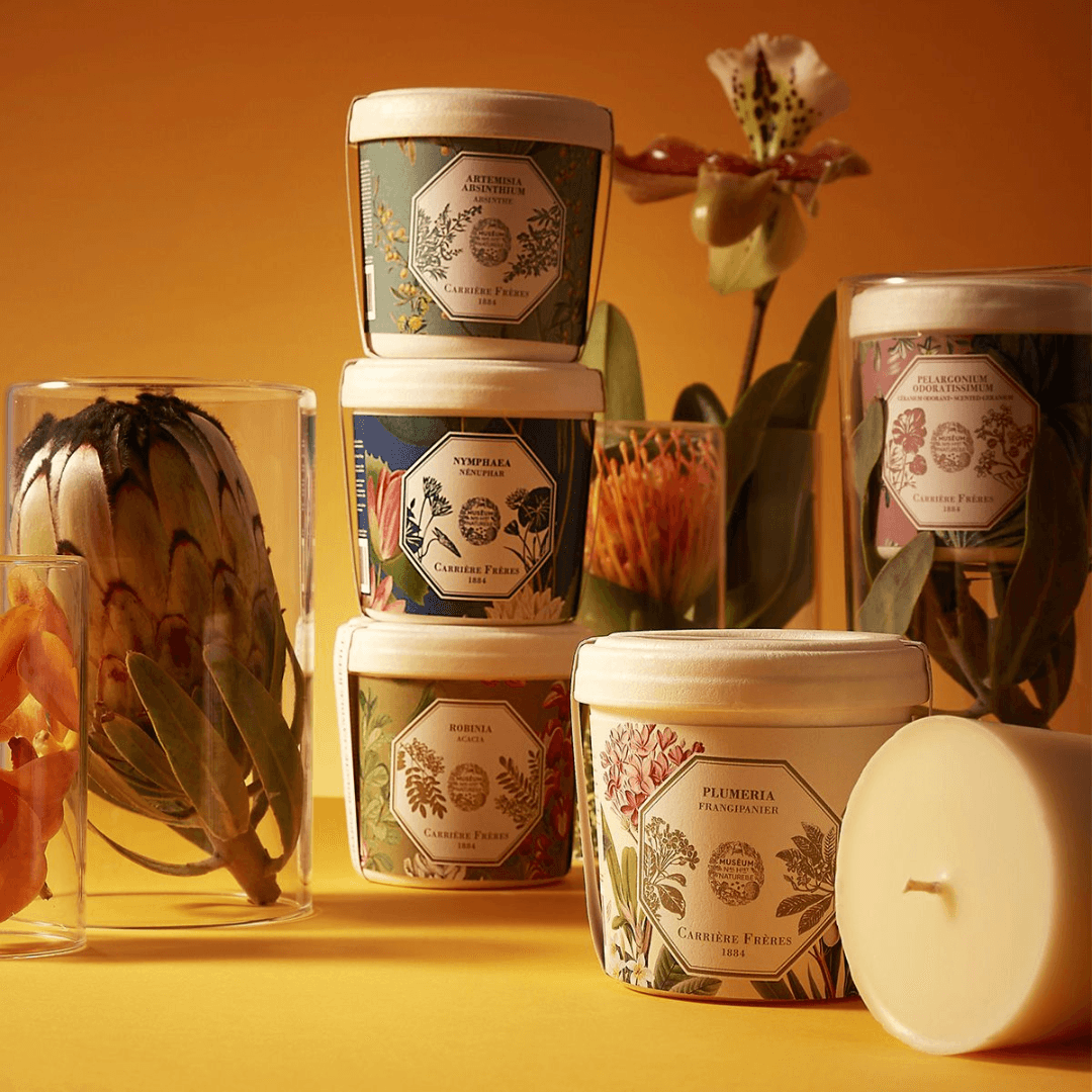 Candle Refill - Carriere Freres - Carrière Frères Refill for Geranium Candle 185g - The Gift Company