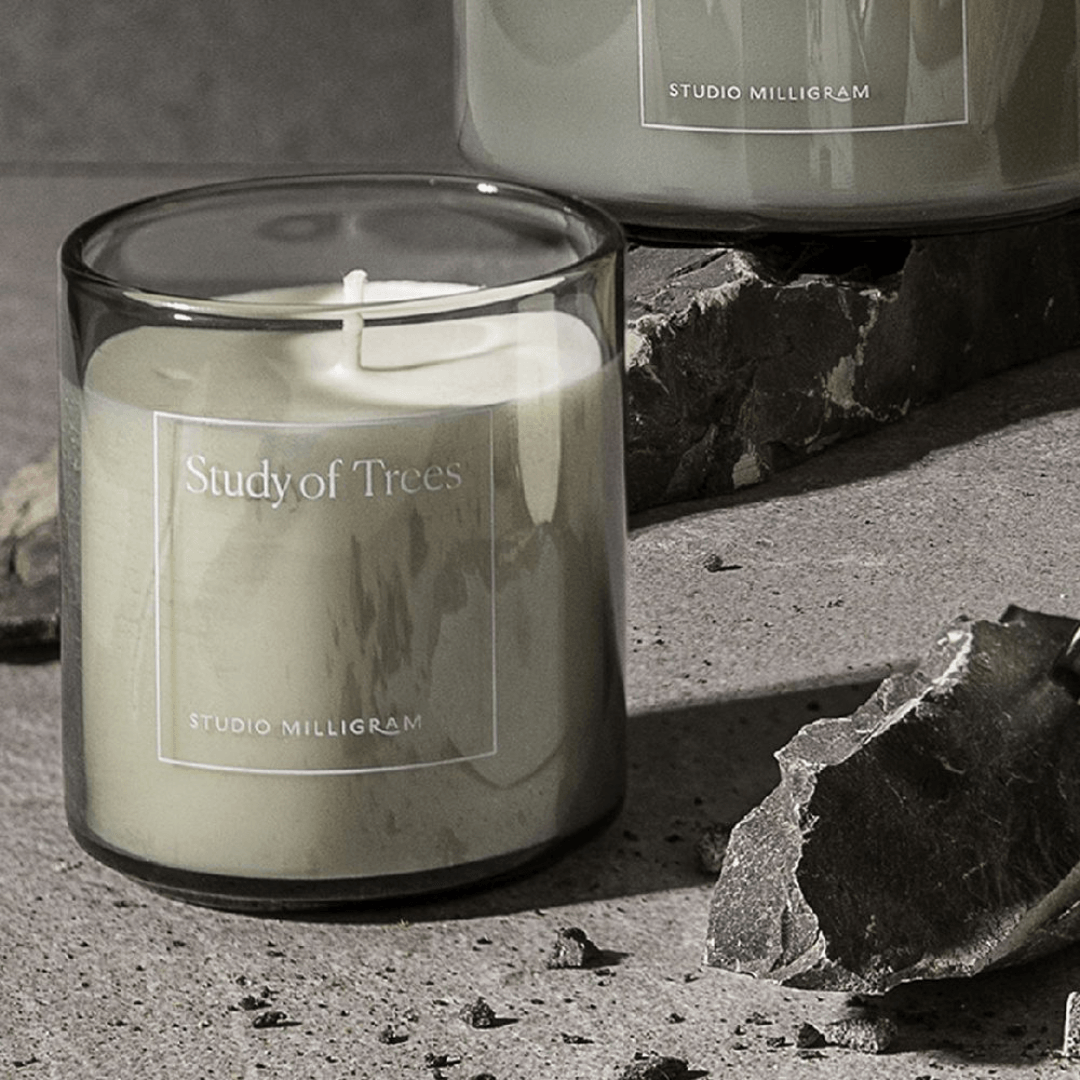 Candle - Studio Milligram - Studio Milligram Study of Trees Scented Candle 220g - The Gift Company