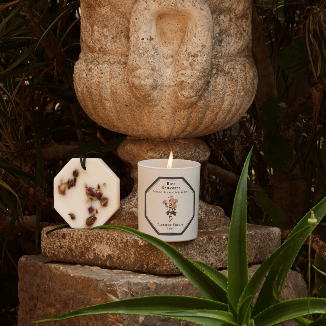 Candles - Carriere Freres - Carrière Frères Damask Rose Candle 185g - The Gift Company