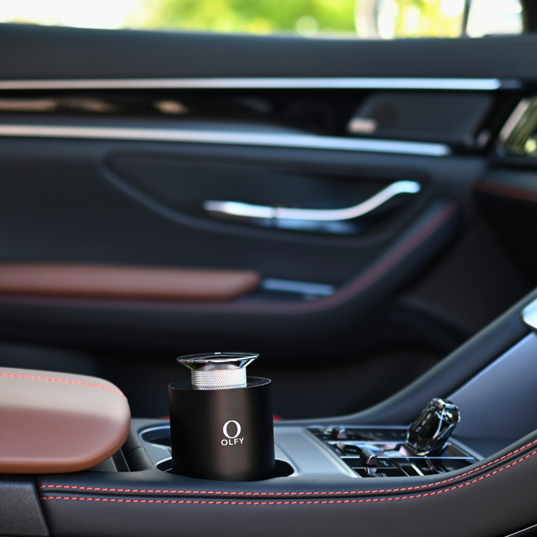 Car Diffuser - Scent Oil - OLFY - OLFY Scent Oil Berlin Girl Inspired By Ferrari 100mL - The Gift Company