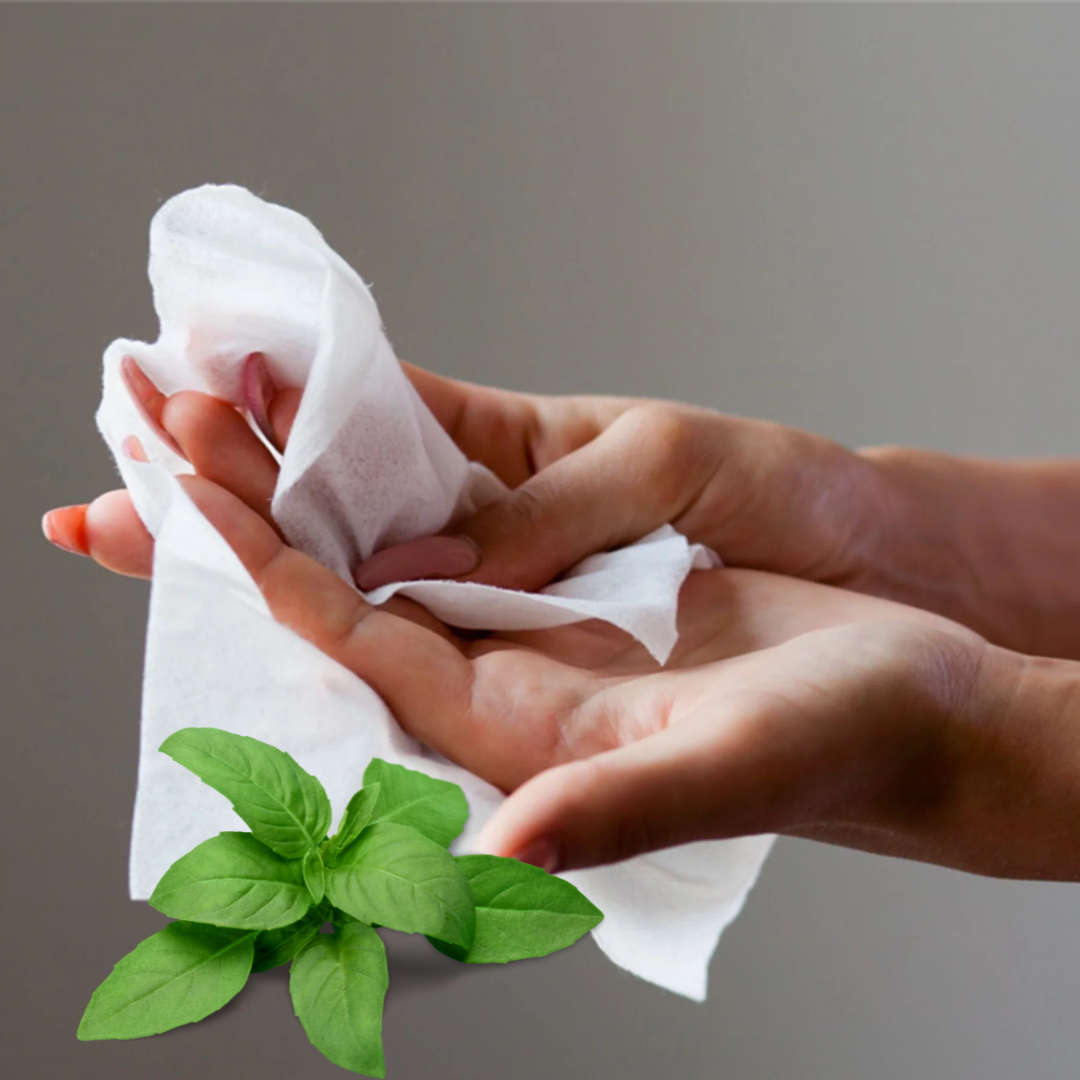 Cleaning Wipes - Acqua Dell'Elba - Acqua Dell'Elba Blu Fresh Wet Wipes For Women 6pcs - The Gift Company