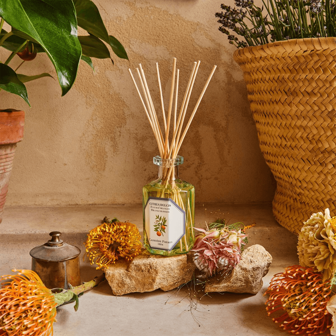 Diffuser - Carriere Freres - Carrière Frères Orange Blossom Diffuser 200mL - The Gift Company