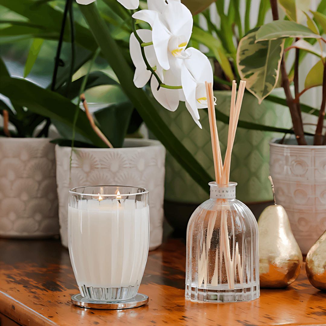 Diffuser - Peppermint Grove - Peppermint Grove Black Orchid & Ginger Fragrance Diffuser 350ml - The Gift Company