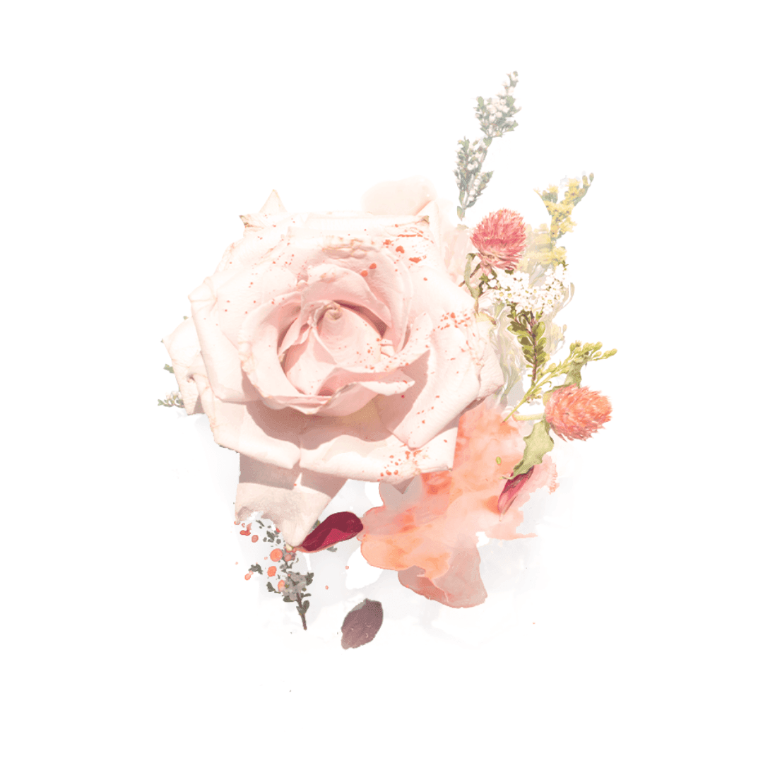Hand Cream - Mor Boutique - MOR Hand Cream - Snow Gardenia - The Gift Company