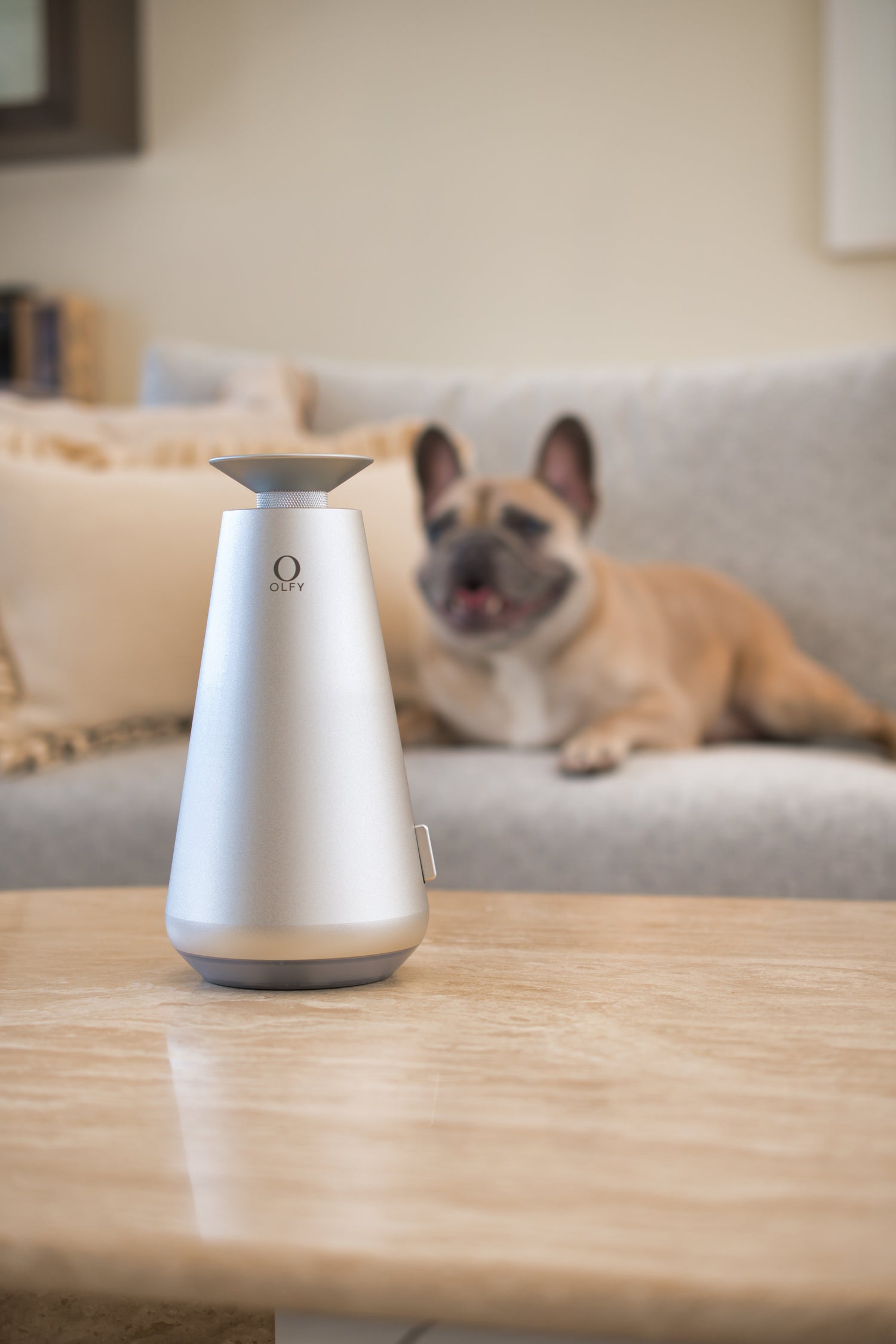 Home Diffuser - OLFY - OLFY Smart Home Diffuser â Aluminium Grey (DecoPRO) - The Gift Company