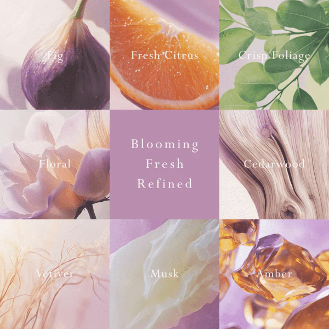 Reed Diffuser - Mor Boutique - MOR Emporium Classics Blanc Primavera Fig Reed Diffuser - The Gift Company