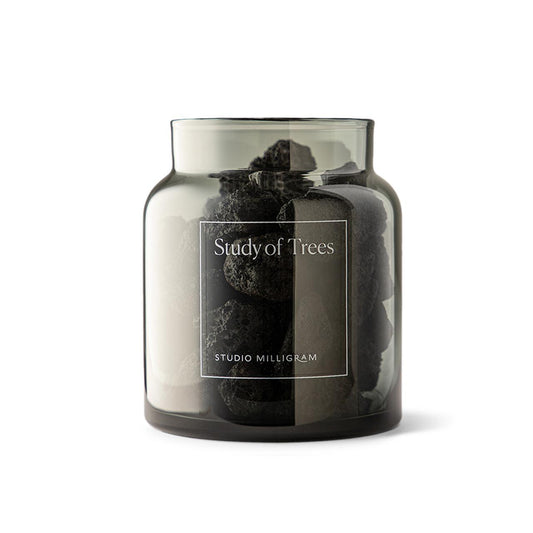 Studio Milligram Study of Trees volcanic rocks in original smoke-tinted glass jar