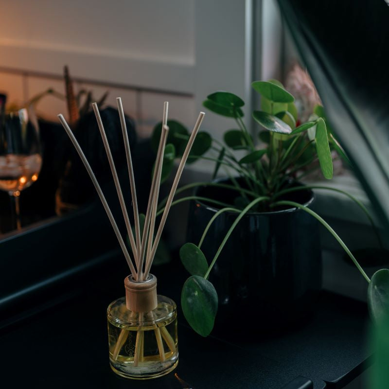 CandleXchange Coconut & Lime Reed Diffuser 200mL styled detail image