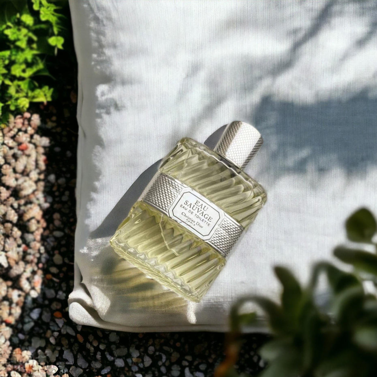 Dior Eau Sauvage Eau de Toilette 50mL lifestyle image
