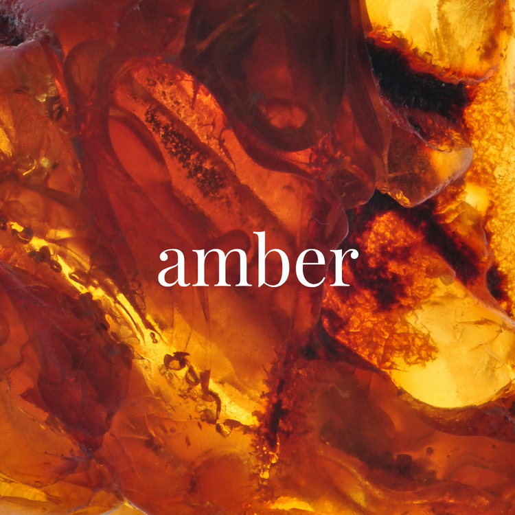 Shop by Fragrance: Amber