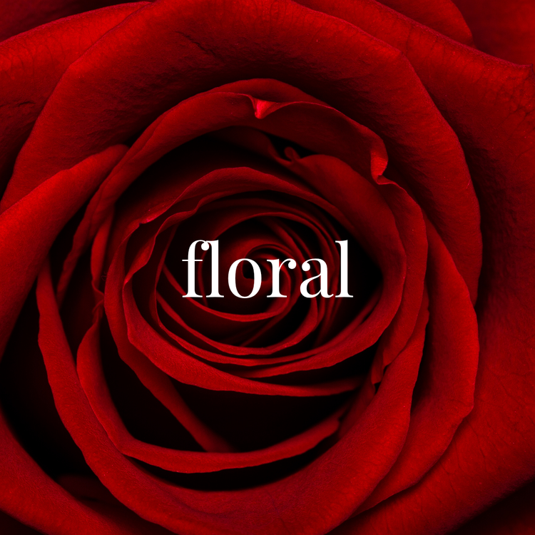 Shop by Fragrance: Floral