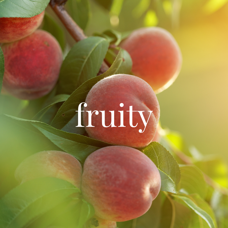 Shop by Fragrance: Fruity