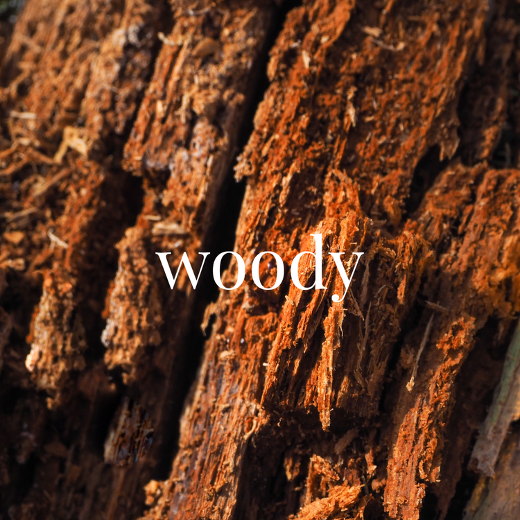 Shop by Fragrance: Woody