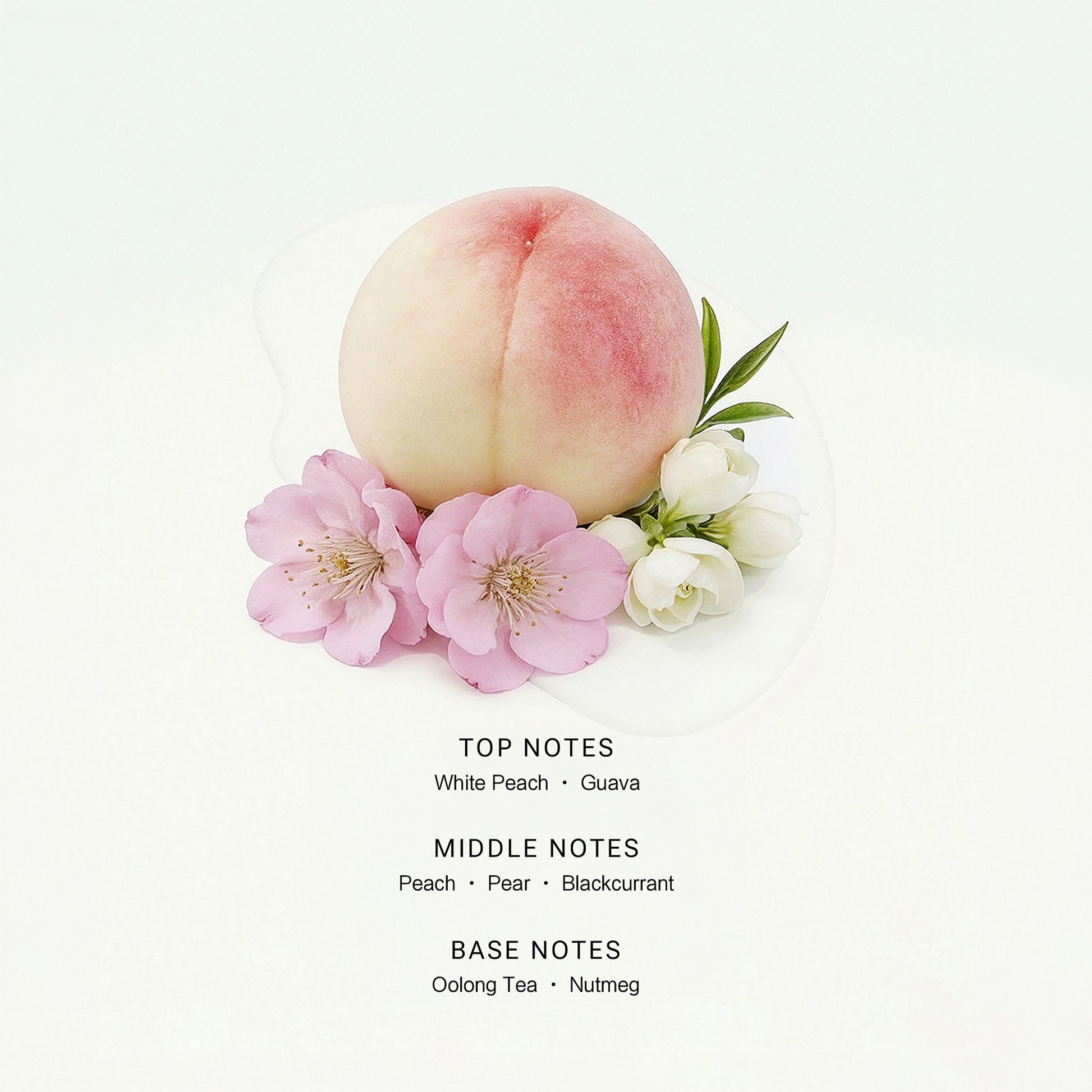 Soluscent Peach Oolong fragrance notes with white peach, guava, fruit, oolong tea and nutmeg