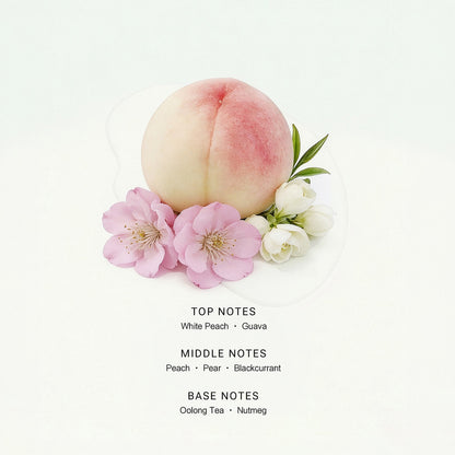 Soluscent Peach Oolong fragrance notes with white peach, guava, fruit, oolong tea and nutmeg