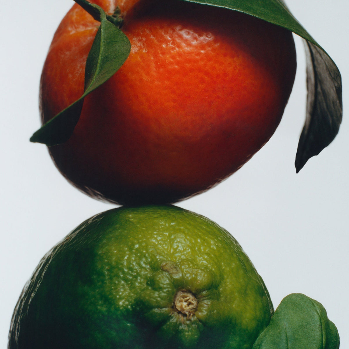 Jo Malone London Lime Basil & Mandarin Cologne detail image