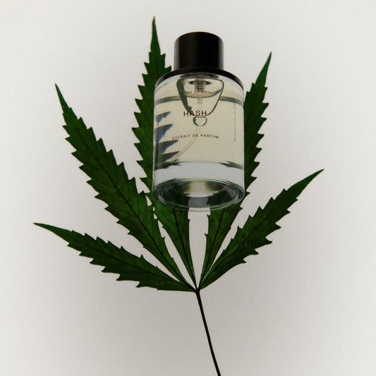 Solid State Hash Extrait De Parfum 50mL - Solid State - The Gift Company