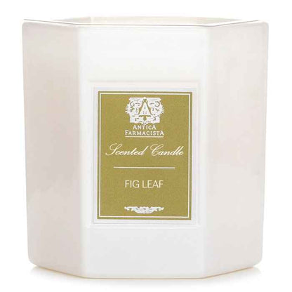 Antica Farmacista Fig Leaf Scented Candle 255g
