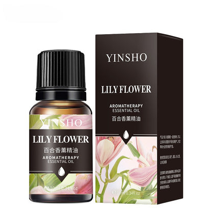 Water-Soluble Aromatherapy Oil (17 Scents Available) Essential Oil Fragrance 10mL