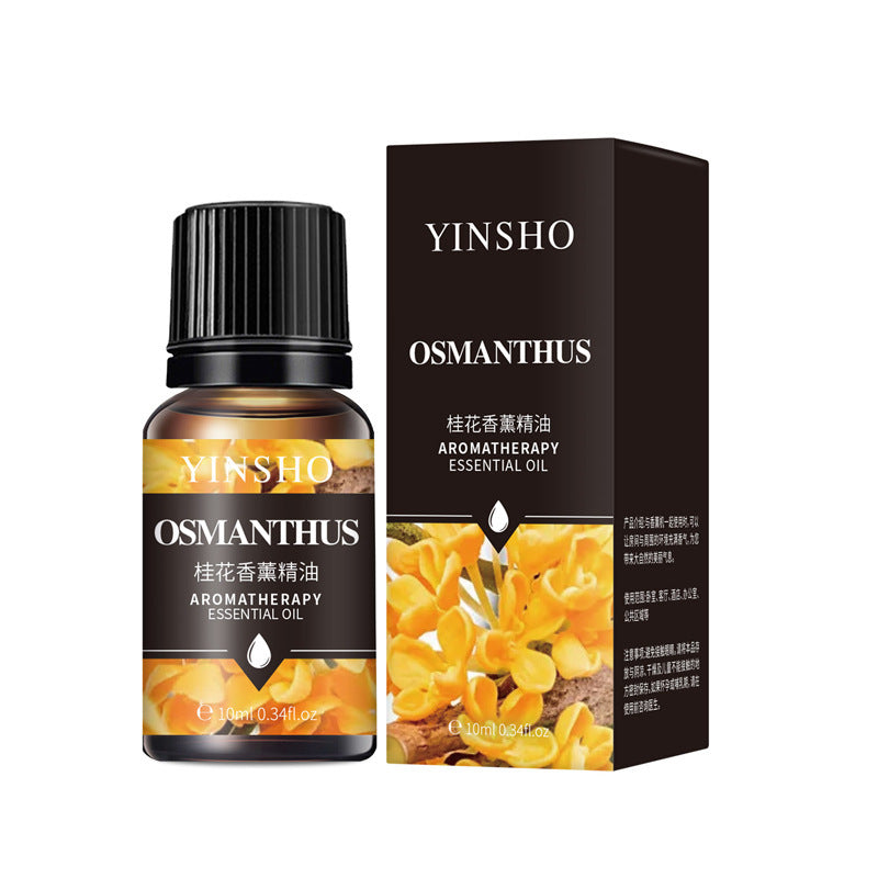 Water-Soluble Aromatherapy Oil (17 Scents Available) Essential Oil Fragrance 10mL
