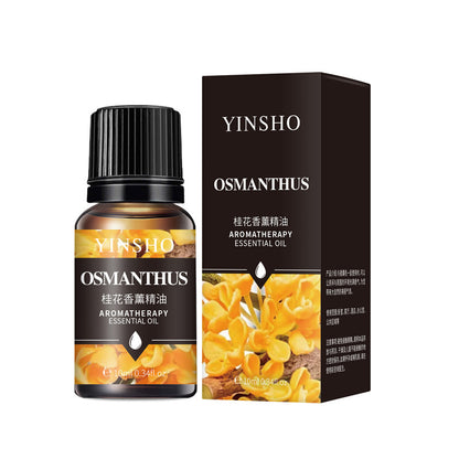 Water-Soluble Aromatherapy Oil (17 Scents Available) Essential Oil Fragrance 10mL